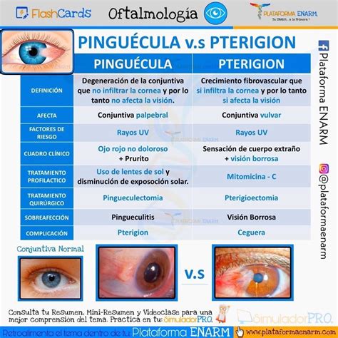 Curso Plataforma ENARM On Instagram FlashCards PlataformaENARM