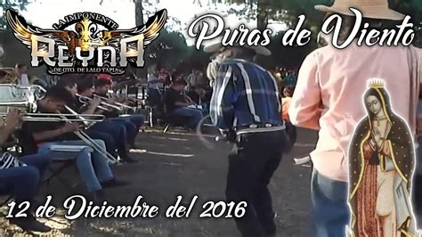 12 Diciembre 2016 A Viento Fiestas Patronales En El Sauz Alto Pedro