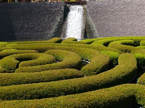 Maze topiary at the Getty Museum. | Outdoor decor, Outdoor, Getty museum