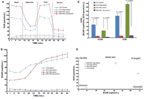 Metabolic Flux Analysis Showing The Elevated Mitochondrial Activity In