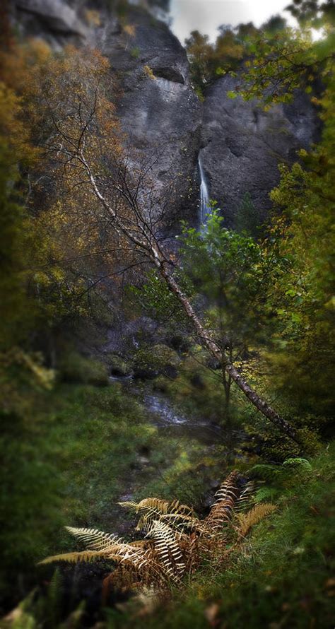 Path To Culnaskiach Falls Photograph By Joe Macrae Fine Art America