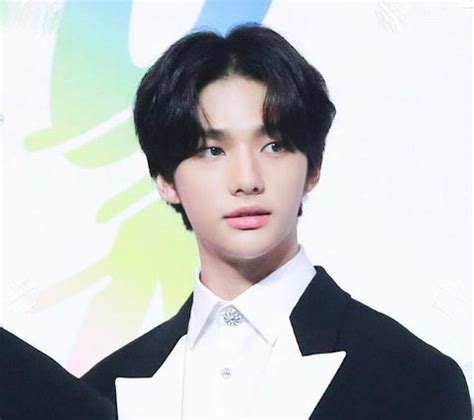 Hyunjin Profile Age Birthday Net Worth Height And Ideal Type