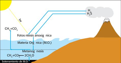 Atmósfera Primitiva Antes De La Fotosíntesis Oxigénica Cortesía De Download Scientific