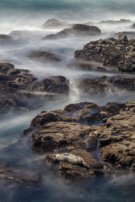 Long Exposure Photo Mendonoma Sightings