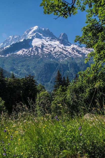 Paisaje De Los Alpes Franceses Foto Premium