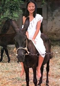 Setsexiezpix Web Porn