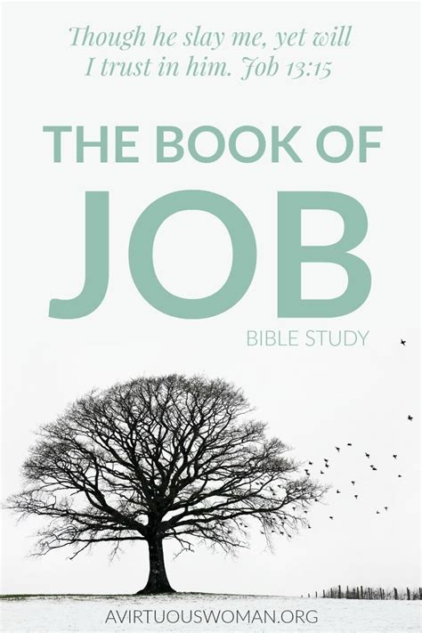 The Book Of Job Bible Study A Virtuous Woman A Proverbs 31 Ministry