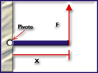 Fisica