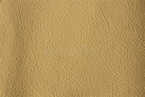 Light Beige Background from Genuine Leather, Solid Beige Background ...