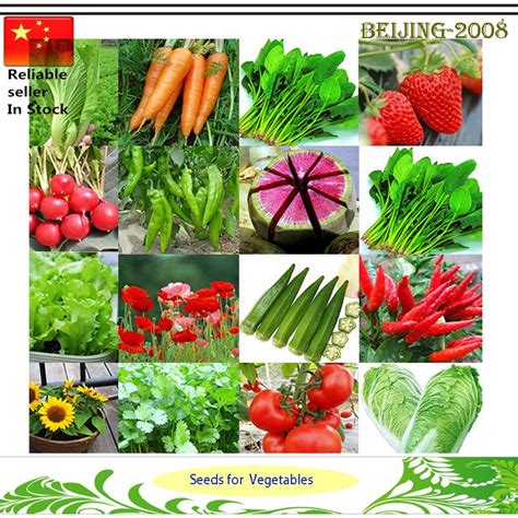 2017 500 SeedsVegetable Seeds Fruit Seeds 30 Kinds Of Different ...