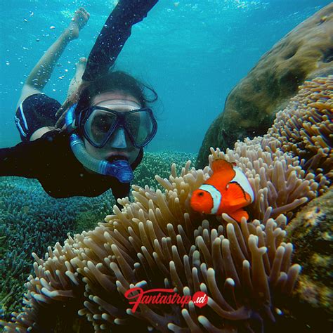 Paket One Day Trip Wisata Pulau Peucang Ujung Kulon Fantastrip Indonesia