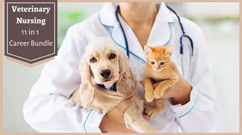 Veterinary Nursing Courses Training Reed Co Uk