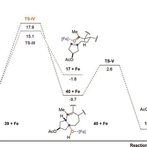 Reaction Path For Transannular Carbonyl Olefin Metathesis And The