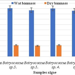 Biomass formation of microalgae belonging to the genus Scenedesmus, n=3 ...