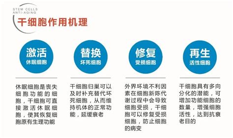 干细胞回输前后需要了解哪些知识 干细胞and免疫细胞and外泌体and再生医学领域垂直媒体细胞世界