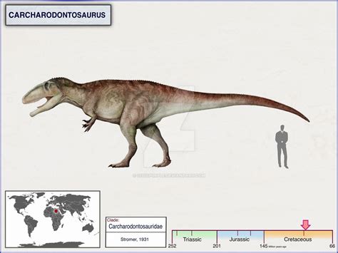 Carcharodontosaurus By Cisiopurple On Deviantart Desenhos De Animais