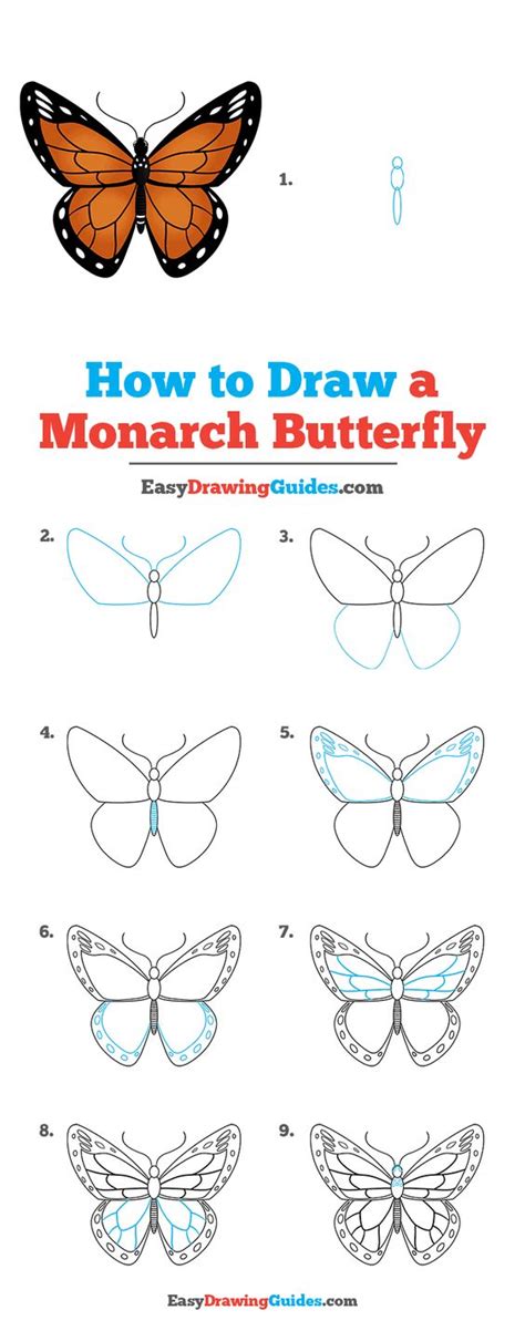 Butterfly Drawing Easy Step By Step Marylynn Colvin