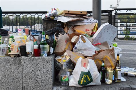 7 Cara Mengelola Sampah Rumah Tangga Organik Dan Anorganik Yang Baik