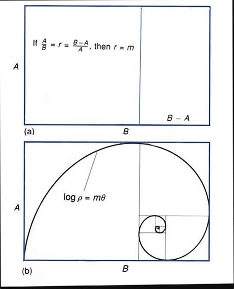 Golden Spiral1 Sublime