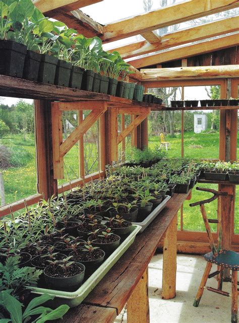 Backyard Greenhouse Backyard Greenhouse Greenhouse Farming Small