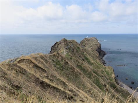 『北海道中央バス定期観光『春の絶景積丹岬コース』に参加しました。【2017年版】』積丹半島 北海道 の旅行記・ブログ By うんのつきさん