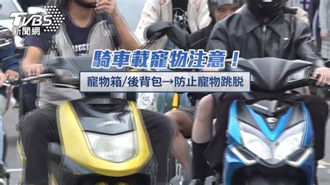 機車載寵物僅牽繩「狗摔滾2圈」 後車嚇急煞│騎機車│小狗│緊急煞車│tvbs新聞網