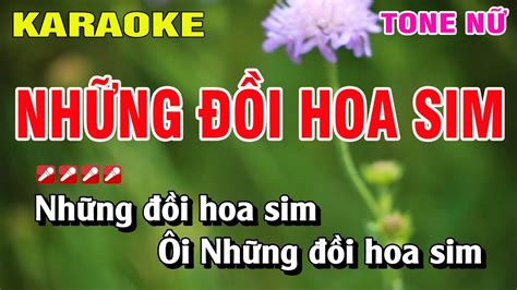 Karaoke Nh Ng I Hoa Sim Tone N Nh C S Ng Nguy N Linh Youtube