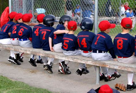 The Road To Williamsport: Mastering The Art Of Little League World Series Bound Success