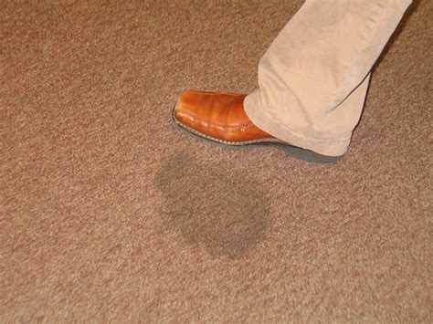 The 8 Worst Things to Spill on Your Carpet - Veg Society Of GA