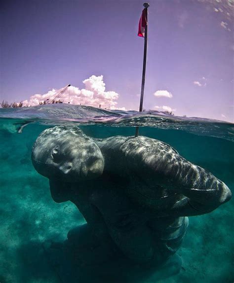 Largest underwater statue, is terrifying : r/thalassophobia