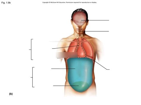 Test 1 Biology Units 1 2 Diagram Quizlet