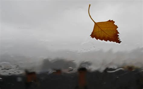 🔥 [50+] Ubuntu 14.04 Wallpapers | WallpaperSafari