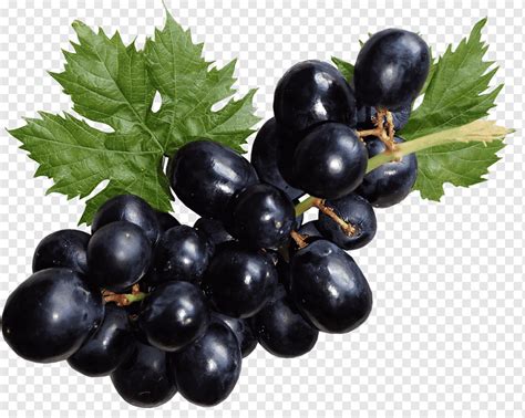 Uvas Preto Fruta Cacho Saudável Comida Doce Delicioso png PNGWing