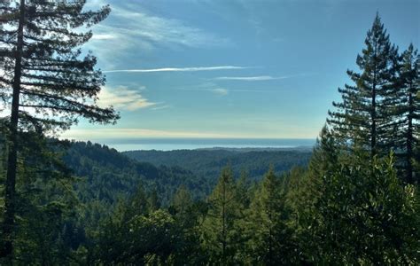 Aptos Creek Fire Road Hiking Trail, Aptos, California