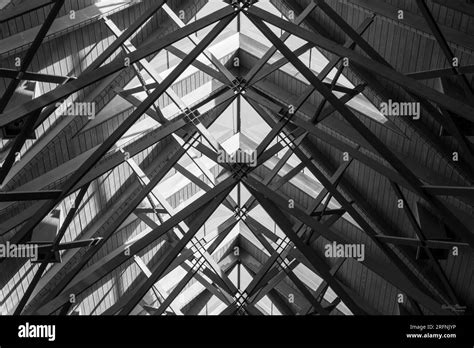 A black and white capture of the beautiful ceiling / skylights inside