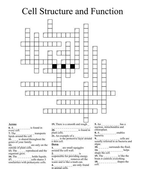 Cell Structure And Function Crossword Wordmint