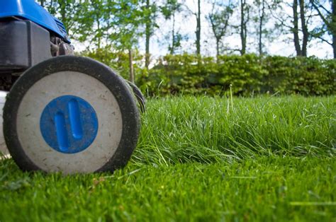 Maximising Lawn Health A Comprehensive Guide To Mulching Lawn Mowers