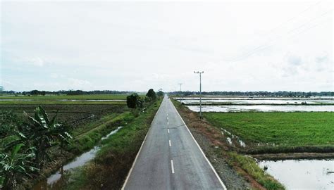 Gubernur Sugianto Sabran Tersedianya Infrastruktur Food Estate