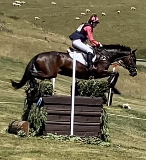 Solid Performances At Barbury Lucinda Fredericks Equestrian