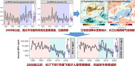 前沿 植保胡高教授团队联合全国测报体系揭示全球变暖引起的降水和风场改变致使我国褐飞虱迁飞格局转变