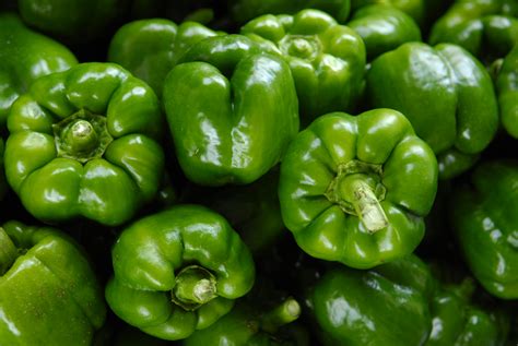 capsicum      capsicum stock  hd images