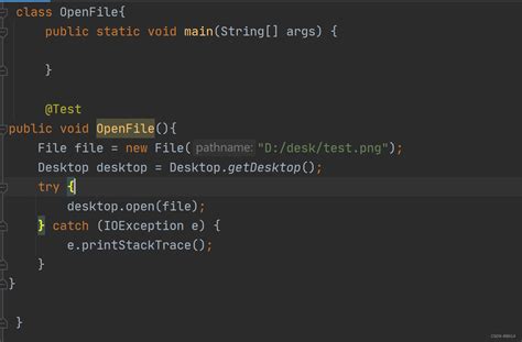 用java打开文件 Csdn博客