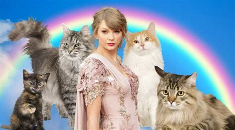 Taylor Swift-Inspired Cat Names: 120+ Ideas For Swiftie Kitties - Love ...