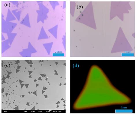 A The 50× Objective Optical Micrograph Of Monolayer Mos2 B The