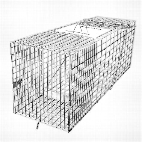 Cat Trap Hire Canberra at Timothy Samons blog