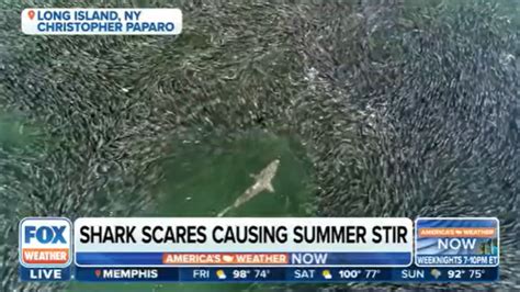 Summer Of The Shark Sightings Close Another New York Beach Hours After