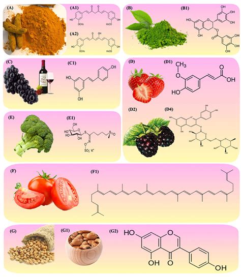 Illustration Showing The Plant Source Of Phytochemical Reviewed In The