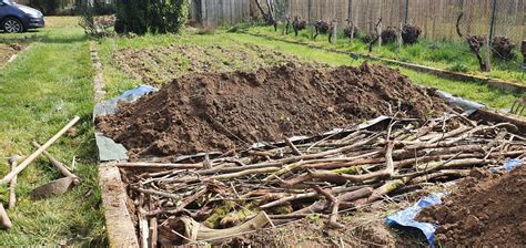 Stage permaculture et initiation à lélectroculture le samedi 19 mars