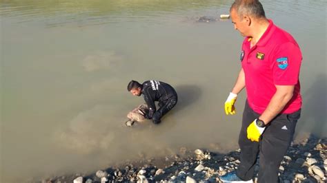 Kelkit Çayı na Düşen Çocuğun Cansız Bedeni Bulundu Haberler