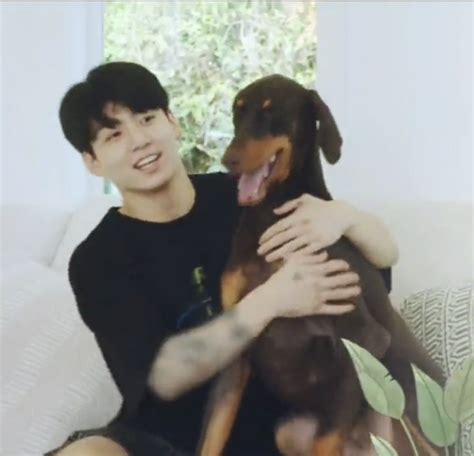 Jungkook Dog Bam Bts Lq Icon Preview Jungkook Bam Bts Imagens Bts